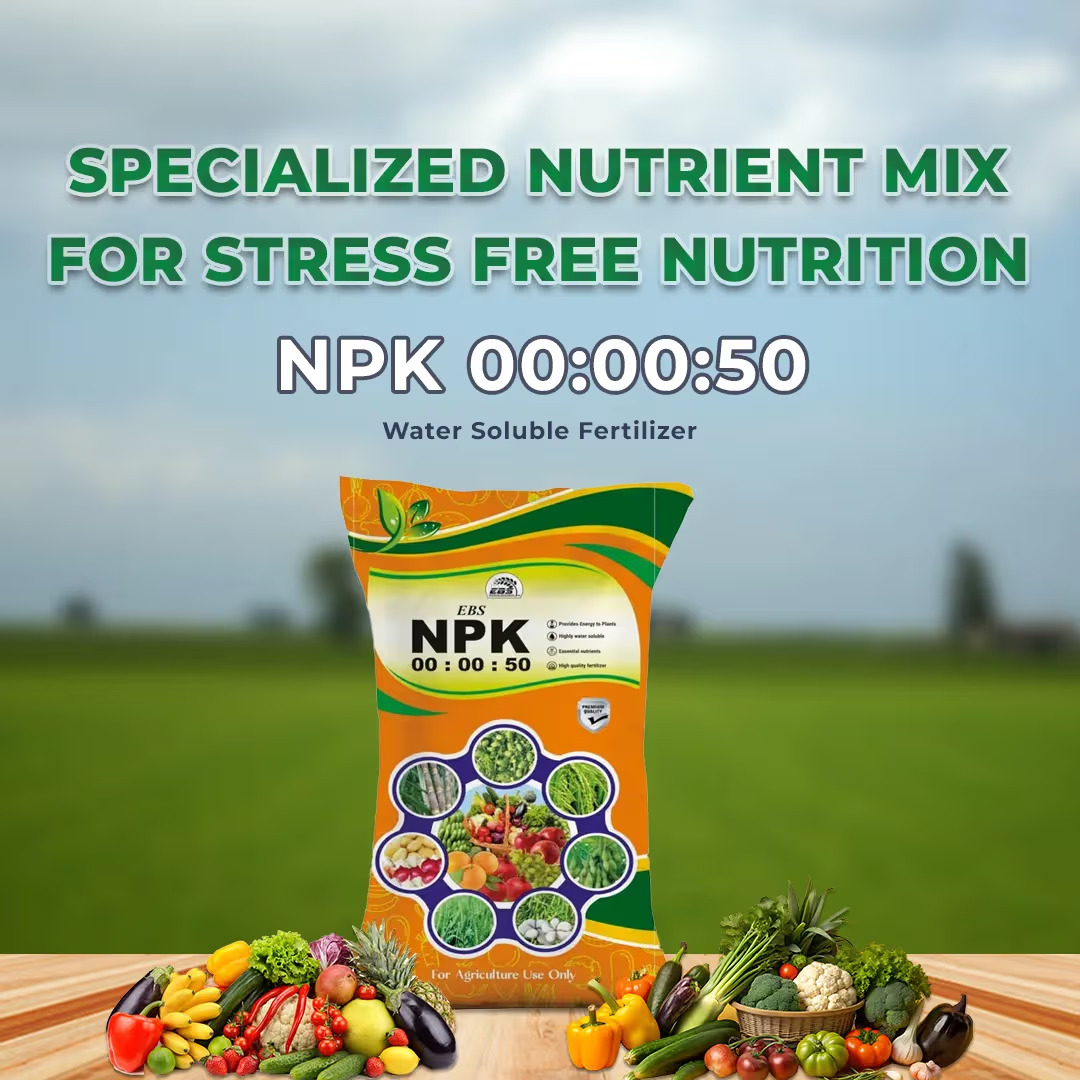 EBS NPK 0:0:50 Fertilizer - Potassium Sulphate (25 Kg x 20 Qty) - Image 2