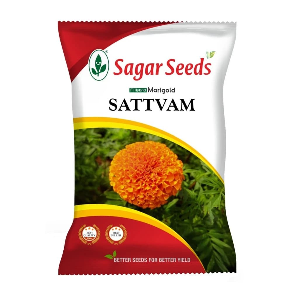 Sagar Sattvam F1 Hybrid Marigold Seeds (1000 Seeds x 10 Qty)