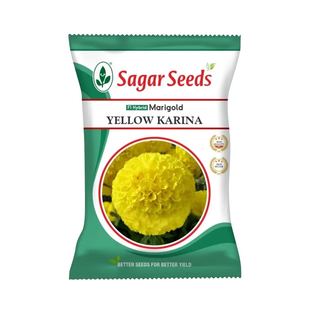 Sagar Yellow Karina F1 Hybrid Marigold Seeds, Deep Yellow (1000 Seeds x 10 Qty)